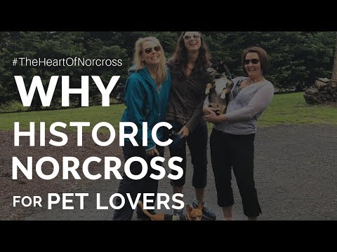 Why Historic Norcross for Pet Lovers  -  The Heart Of Norcross as Dog Friendly Atlanta Community