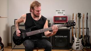 Video thumbnail for Spector NS Dimension HP 5 - Distortion Sound by Gregor Fris