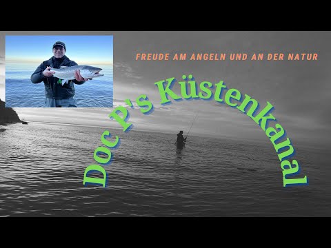 Meerforelle - Erster Überspringer 2023 und halbstarke Grönländer