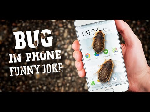 Bug in Phone funny joke Video