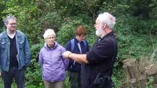 preview picture of video 'Dr Chris Gibson leading the Wivenhoe Watching Wildlife event_Oct 27th 2013'