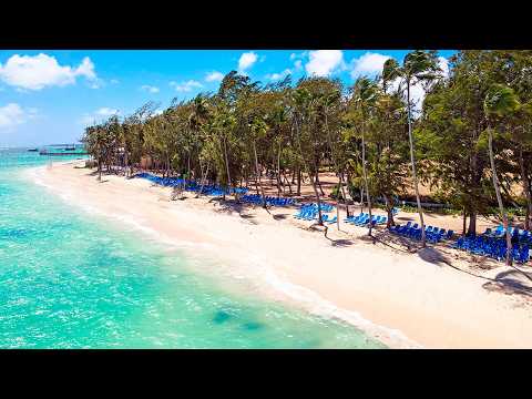 Best or WORST? Vista Sol Punta Cana Beach Resort & Spa full review
