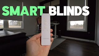 Smart Blinds Worth Getting | Canisteo Motorized Smart Blinds Review