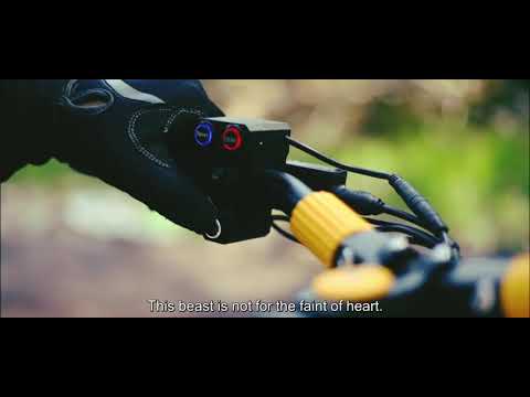 Vsett 10+ - Monster Electric Scooter