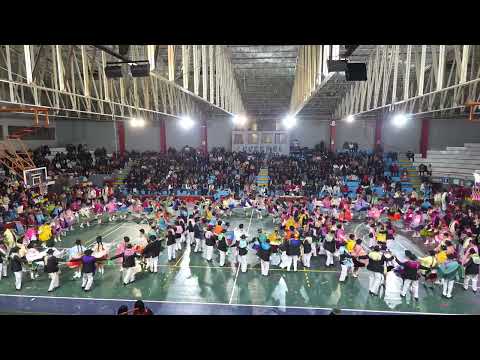 Asociación de Arte y Cultura Pandilla CARABAYA - PUNO- 2026 (coliseo cerrado PUNO)