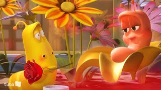 🌸Blooming🌸 or 💩Blooming💩 | Animation Compilation | Larva TUBA | Official