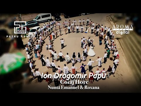 Ion Dragomir Papu - Colaj Hore | Nunta Emanuel & Roxana