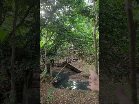 antiguo camino para ir a Montelíbano Córdoba desde caucasia antioquia #shorts