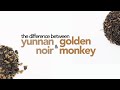The Battle Of Traditional Black Teas Yunnan Noir Vs Golden Monkey