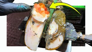 Download lagu a HEAL full of FLUID?? mp3 Download lagu a HEAL full of FLUID?? mp3