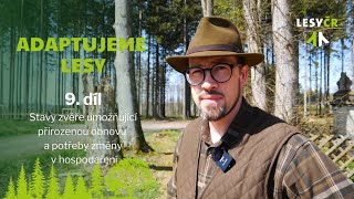 Adaptujeme lesy – 9. díl