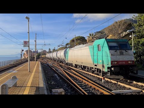 MRS 50361 Alessandria Sm. - Livorno Calambrone