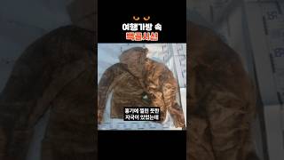 Download lagu 합천군 여행용 가방 백골 시신 사건 #미제사건 #뉴스 mp3