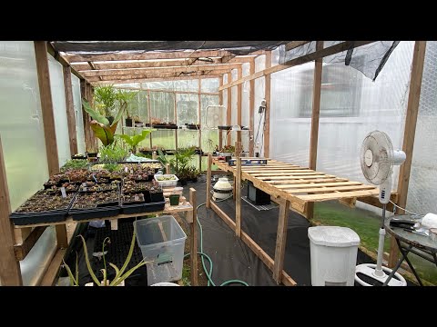 The New Highland Greenhouse: First Look At the New Greenhouse and Nepenthes Tour
