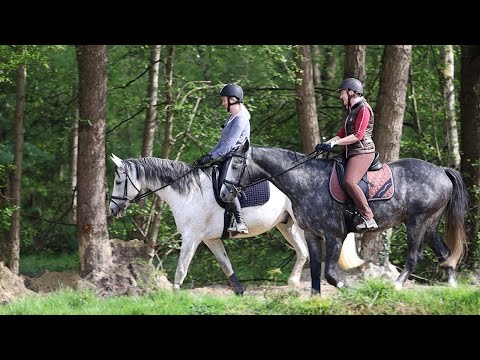 Reiten lernen Reitanfängerin Alex übt mit Wallach Freudentanz Haltung zu bewahren
