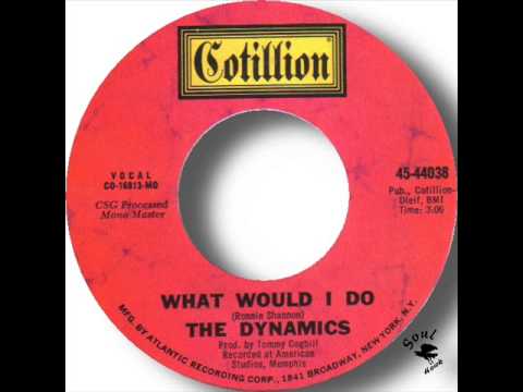 The Dynamics   What Would I Do