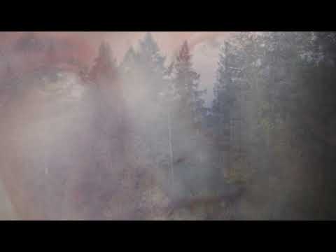 Angelo Badalamenti / Accident/Farewell Theme (Twin Peaks)
