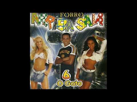 ARRIBA SAIA - O GATO