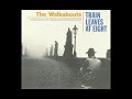 the walkabouts - solex in a slipshod style