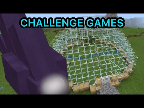 Mutant Endermite Lucky Block Challenge Games