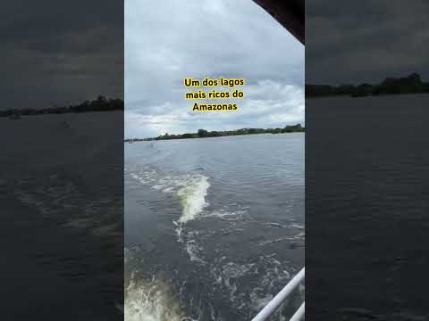 Um dos lagos mais ricos do Amazonas, Anori! #viajandocomgil&gerson#aventuras#lagos#biodiversity#rio