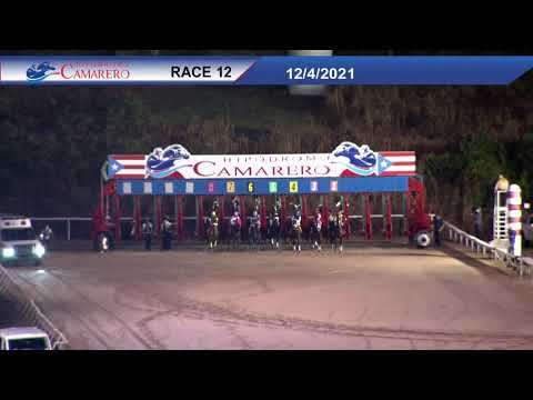 Copa Confraternidad del Caribe 🇵🇷 2021 🏇🏇🏇 EL SANTO 🇲🇽