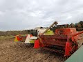 Zbiór słonecznika 2025. CLAAS TUCANO 320, BIZON Z056