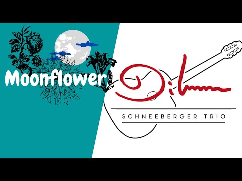 Moonflower - Diknu Schneeberger Trio
