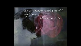 Seal / I Know What You Did by Piano