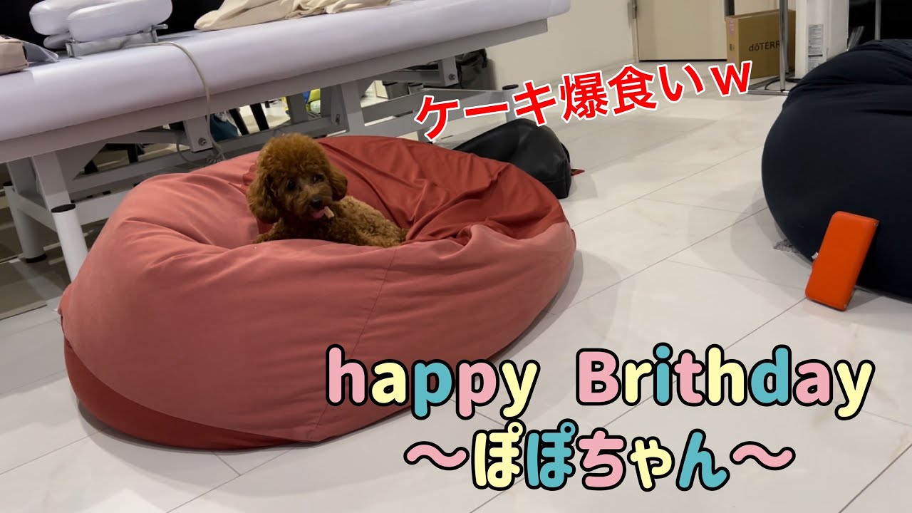 【祝1歳】ケーキ爆食いw