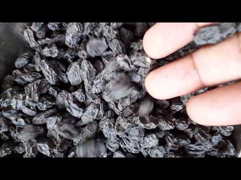 Black seed raisins