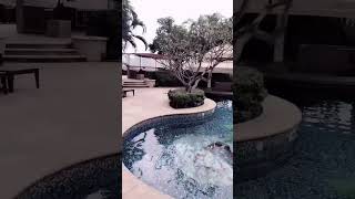 hôm nay em mặc áo trắng #bikini #tiktokgaixinh #trending #tiktok