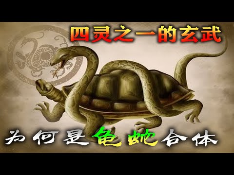 玄武 蛇