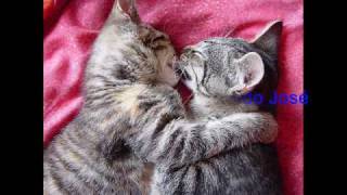 Grupo Bryndis - Regresa