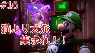 【ルイージマンション３】第16話　子猫の可愛さはそっけなさ