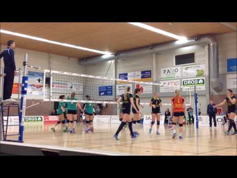 selina merfol setter