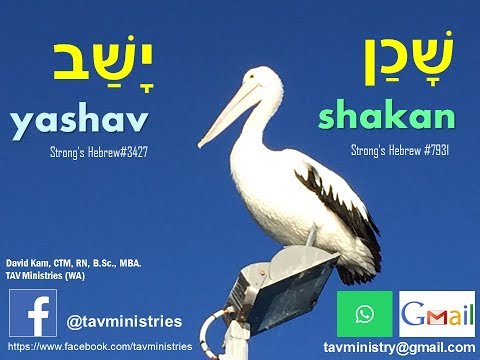 TAV ministries WA Hebrew devotion Difference between YASHAV and SHAKAN