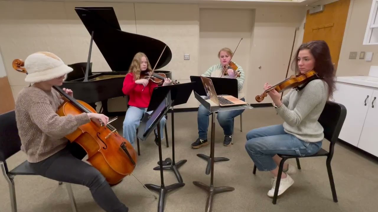 Promotional video thumbnail 1 for Harmonia Quartet