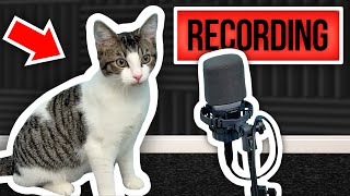 Download lagu I Wrote A Theme Song For My KITTEN! mp3