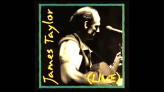 James Taylor - Don't Let Me Be Lonely Tonight (Live, August 10,1993)