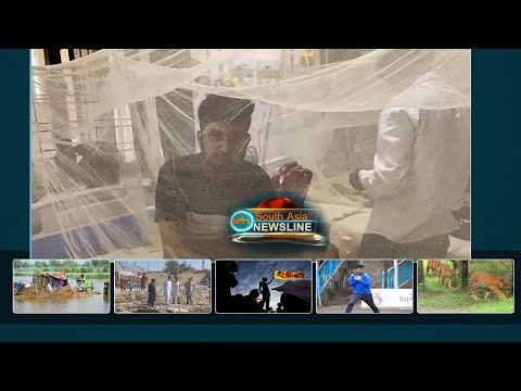 Dengue grips parts of India amid late monsoon rains