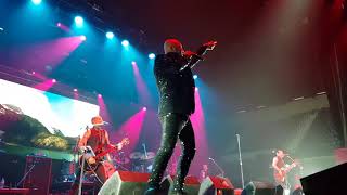 Chocolate Starfish - Mountain