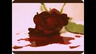 Mariachi El Bronx - Everything Dies