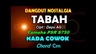 Download lagu Tabah - Karaoke Lirik | Dayu AG  By Saka mp3