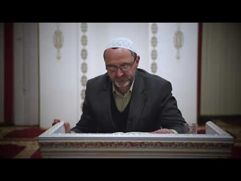 Da li su mezhebski imami imali šejha (muršida) i osobine šejha (muršida)? - hafiz Kenan Čehajić