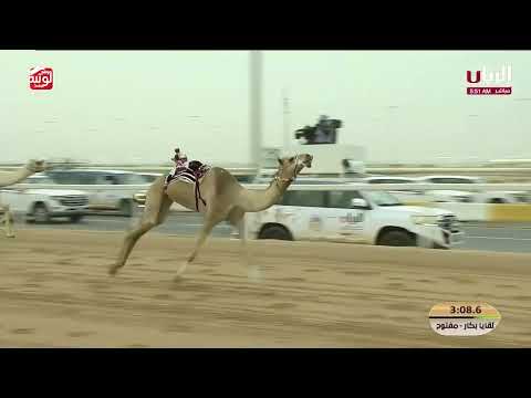 ش 3 (معراض) لـ هجن الرئاسة 7:35:66  ، مهرجان ختامي الشحانية 2026/04/23 لقايا