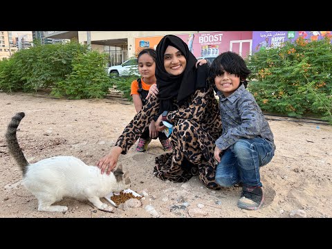 We found a New Cat | Should we keep as a pet ? | New Vlog !