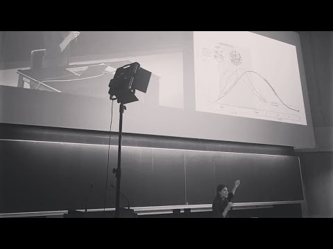 Formation Belgique (4/57) Fonctions exécutives - Qu'est-ce que c'est ?