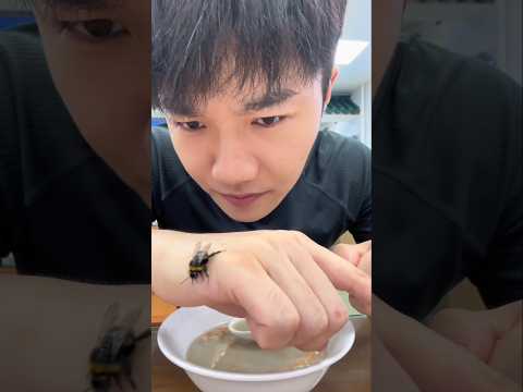 Traveling with Bees: Hainan Station [For Entertainment Purposes Only]#EverythingIsCute#Sanya#Travel