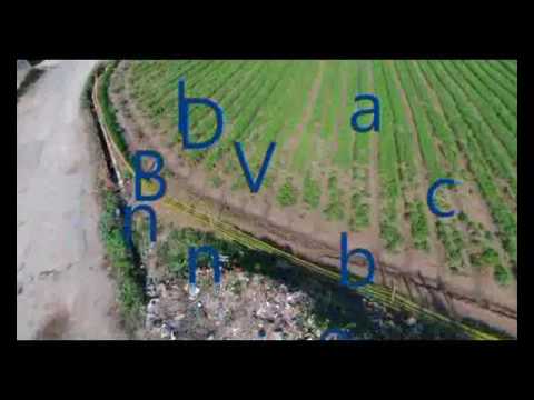 Drone Bebop Valencia